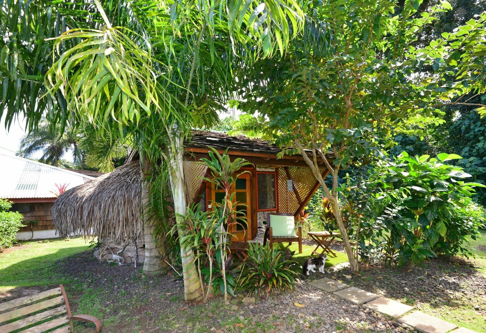 Mark'S Place Moorea Εξωτερικό φωτογραφία