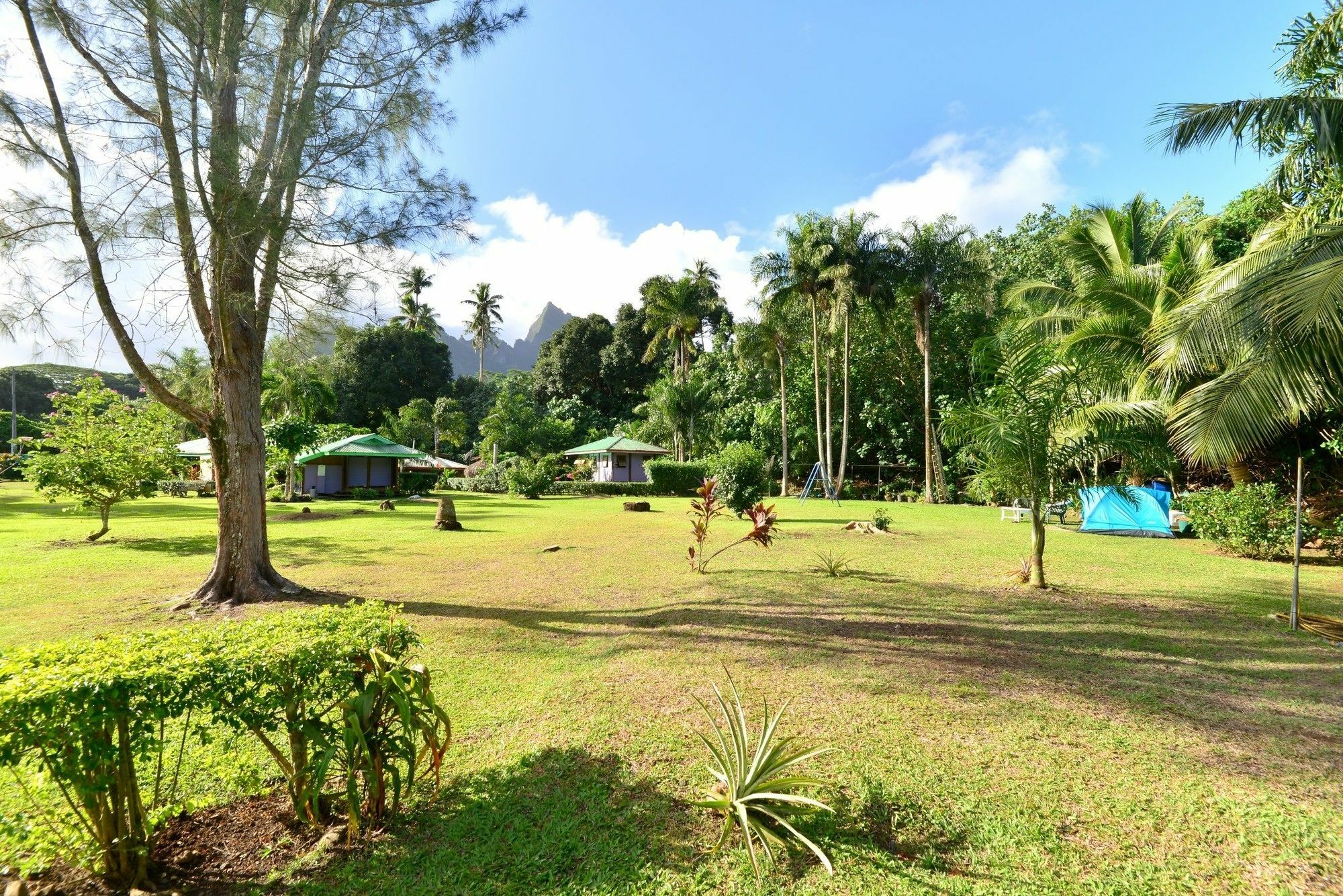 Mark'S Place Moorea Εξωτερικό φωτογραφία